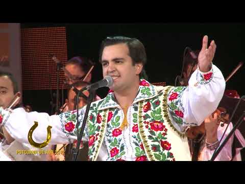 IGOR CUCIUC Moldoveni veniţi acasă #potcoavadeaur