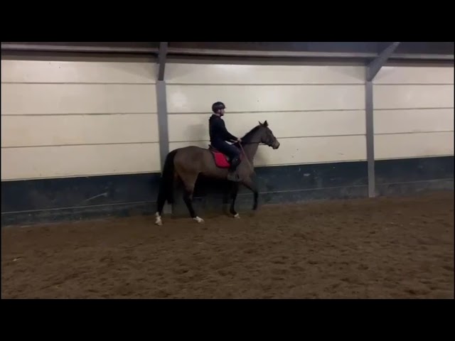 Riding Movie (just broken) Sering Blue FHR.