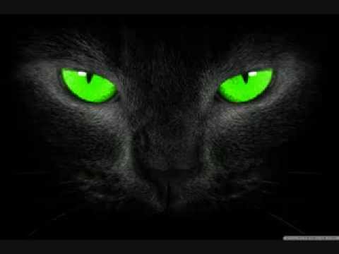 Motekk - Neurofunk Mix V