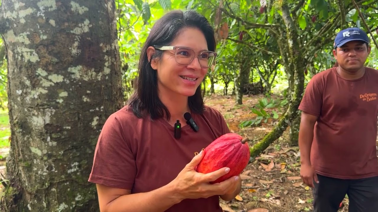 Fazenda Riachuelo: tradição e inovação na produção de cacau da Bahia | Planeta Campo - Ep. 17/4