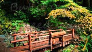 Lee Brice ~ Beautiful You (Sometimes) Lyrics