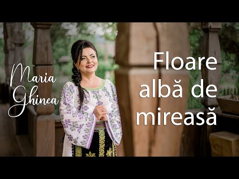 Maria Ghinea - Floare albă de mireasă (Melodie de nuntă)