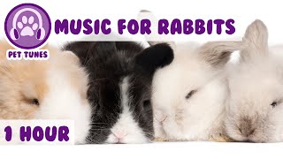 Music for Bunny Rabbits - Calming Music for Your Pet Rabbit.