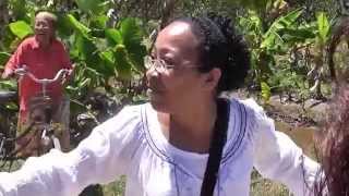 preview picture of video 'kennissen tegenkomen in Laarwijk Suriname'