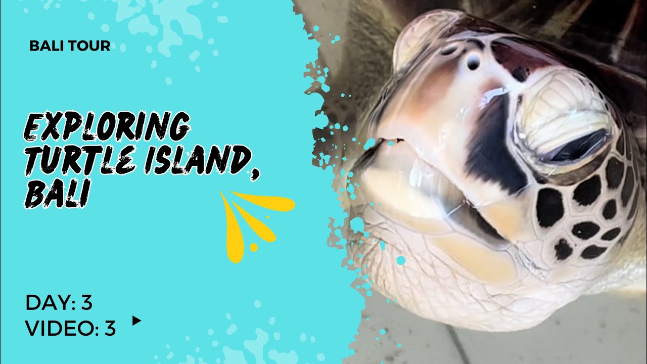 Experience a virtual tour to Deluang Sari Turtle Conservation Center.