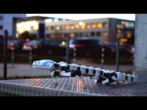 Pleurobot Review Video 4