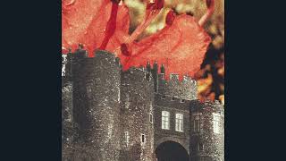 Deerhunter - Never Stops