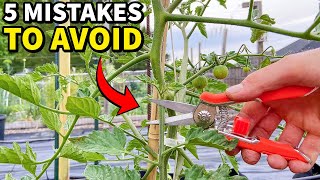 5 Mistakes You Must NEVER Make When Pruning Tomatoes