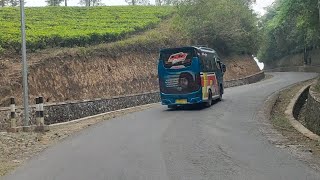 Download lagu Elf bungbulang, Pameungpeuk, Cikajang Singajaya mp3 Download lagu Elf bungbulang, Pameungpeuk, Cikajang Singajaya mp3