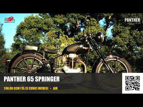 Panther 65 Springer - Video 1