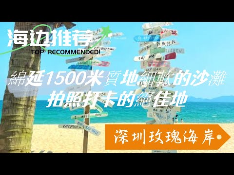 第1次到深圳必去的 20 個地方！玫瑰海岸情侶攝影全攻略，藍橋花海 + 海邊教堂 + 隱藏機位，附拍攝時間錶！📸🌊#深圳旅行 #廣東旅行 #深圳週邊遊 #深圳攻略 #深圳公園