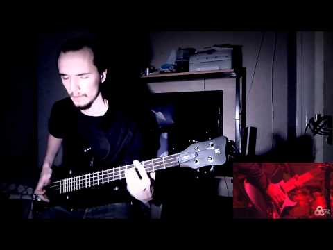 Tommy the Cat [Live] - Primus - Bass Cover