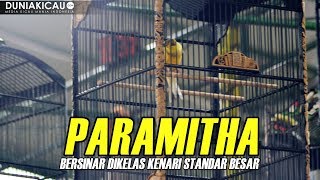 Download lagu PARAMITHA Bersinar Dikelas Kenari Standar Besar Piala Pangkal Perjuangan Cup 3 mp3 Download lagu PARAMITHA Bersinar Dikelas Kenari Standar Besar Piala Pangkal Perjuangan Cup 3 mp3
