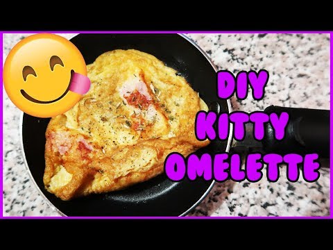 DIY Breakfast Omelette for Cats! How to Make a Homemade ...