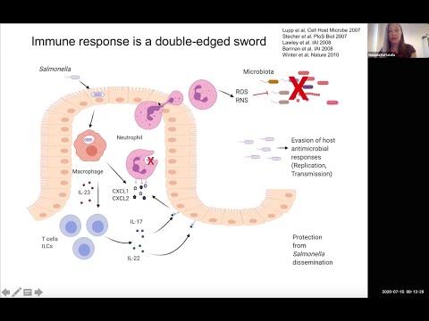 "Nutritional immunity in the inflamed gut" by Dr. Manuela Raffatellu