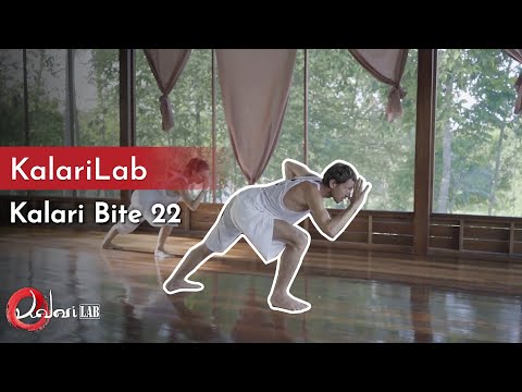 When the horse attacks - Kalari bite 22