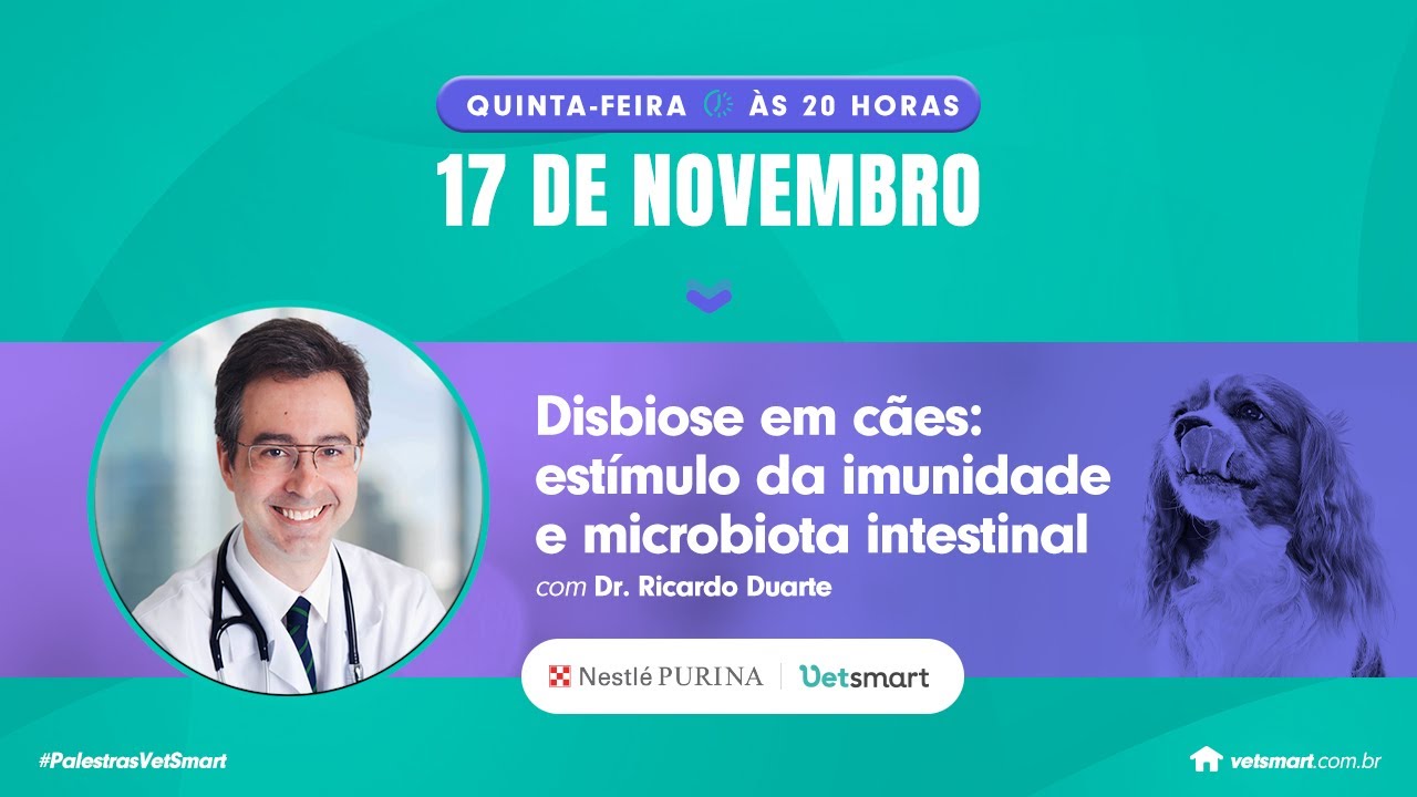 Disbiose em cães: estímulo da imunidade e microbiota intestinal