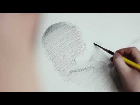 1. Si filloi gjithçka?! - Dr. Imam Ahmed Kalaja