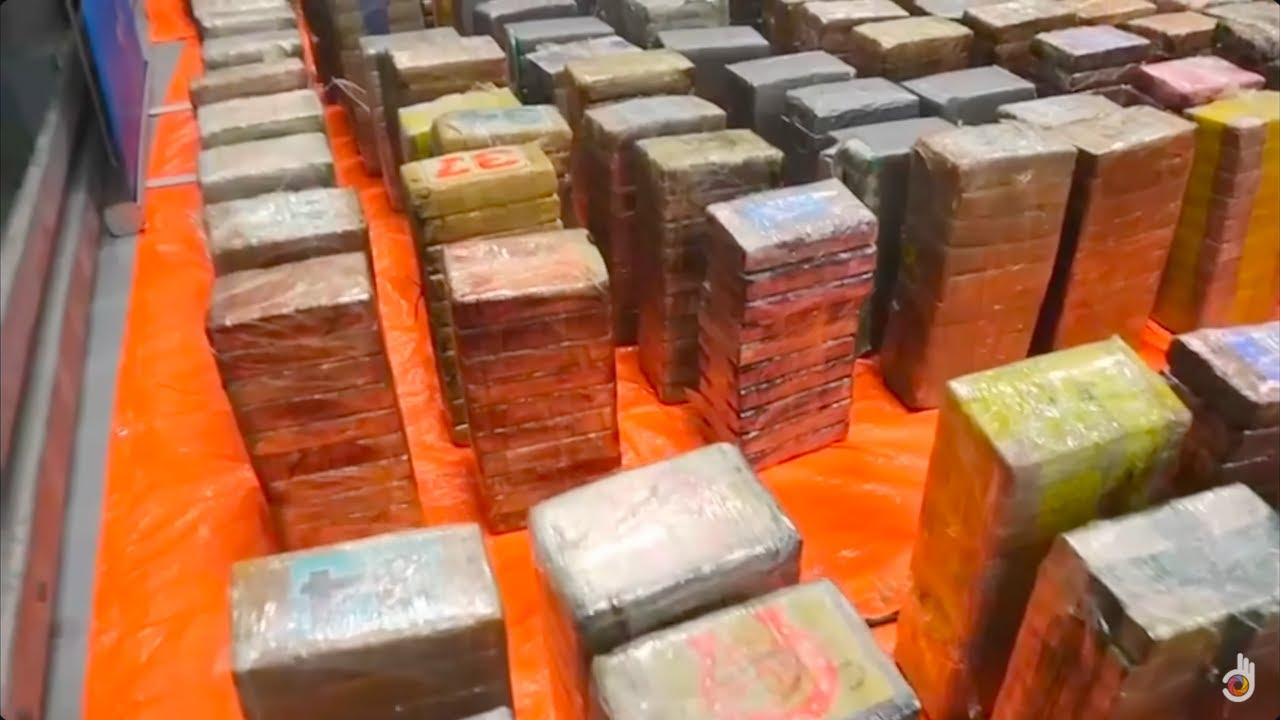 The Netherlands: The New Cocaine Mafias