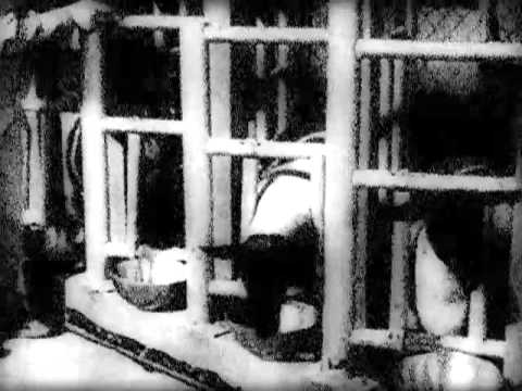 Mike Dehnert - Meck (Fachwerk)