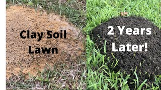 Improve Your Clay Soil Lawn - CRAZY PROOF from Fire Ants!