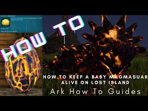 How to Keep a Baby Magmasaur Alive on Lost Island