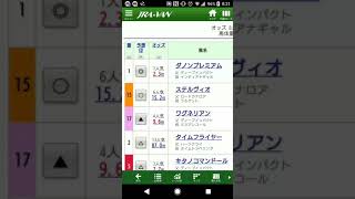 グラスの競馬予想！日本ダービーは混戦！ダノンプレイミアムから流して当たるのか！？