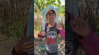 Download lagu #shorts || there's monkey poop 😂😅 mp3