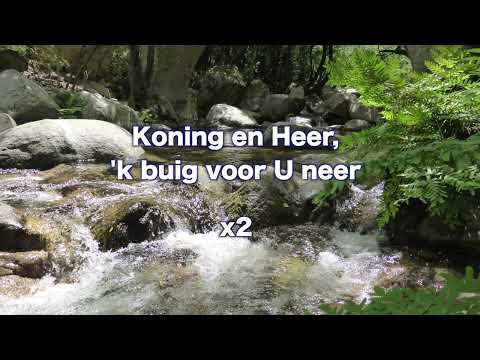 Opwekking 280 Majesteit, wij eren U