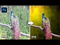 Add Realistic Fake Lighting To Make Your Photos Look Professional In Photoshop Camera Raw