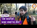 Bomen verplanten in Schaarsbergen