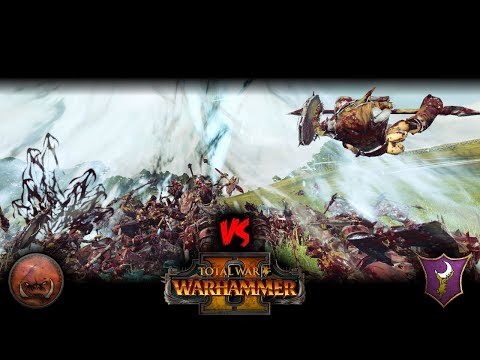 Greenskins vs Dark Elves - Black Orcs Rule - Total War: Warhammer 2 - Quick Battle #55
