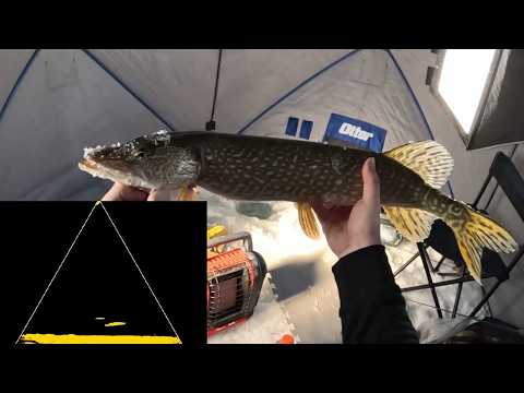 Just Another Day of Fishin'