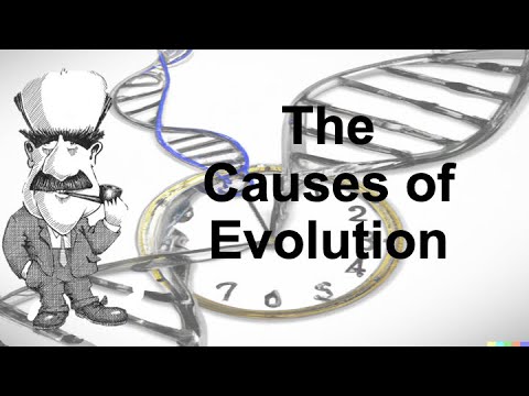 Variation | The Causes of Evolution | Ep. 1