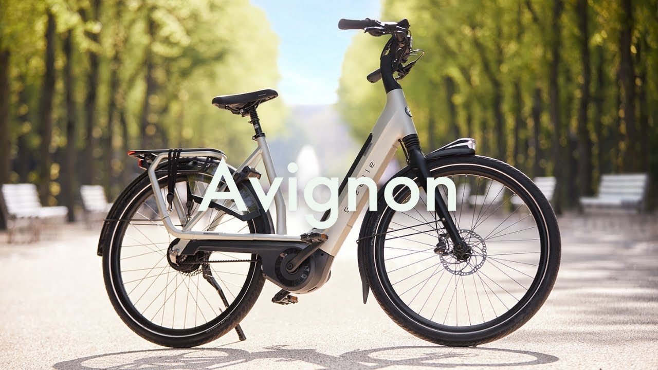 Alles, was Sie über unser neuestes E-Bike wissen möchten: Avignon | Gazelle