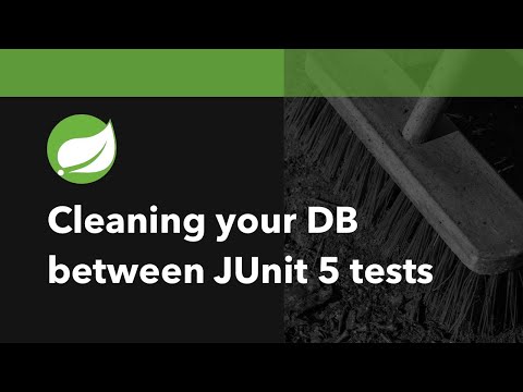 How To Clean Your Database Between JUnit 5 Tests With Spring Boot