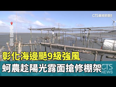 彰化海邊颳9級強風　蚵農趁陽光露面搶修棚架