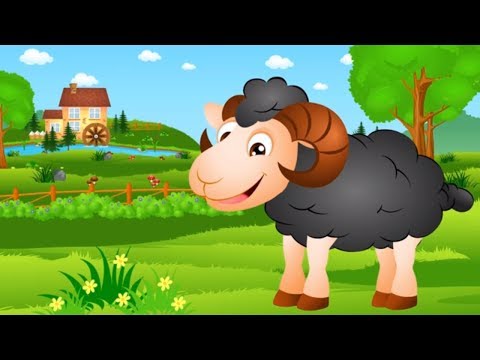 Piosenka dla dzieci Czarny baranie i inne