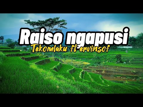 Raiso ngapusi - tekomlaku ft ervinsof