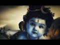ग्यारहवें हो रूद्र तुम भोले के अवतारी 