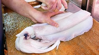 Download lagu Japanese Street Food - GIANT SQUID Fried Calamari Sashimi Okinawa Seafood Japan mp3 Download lagu Japanese Street Food - GIANT SQUID Fried Calamari Sashimi Okinawa Seafood Japan mp3