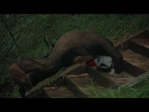 Video thumbnail for ALIVE