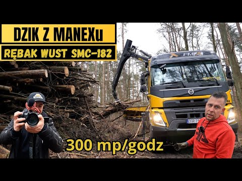 DZIK Z MANEXU - POTEŻNY RĘBAK  WUST SMC-812 || Biomasowa seria ODC.1 || Okiem ZULa & Pan Rębak &ROPA
