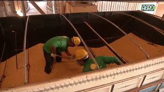 Miniatura do vídeo