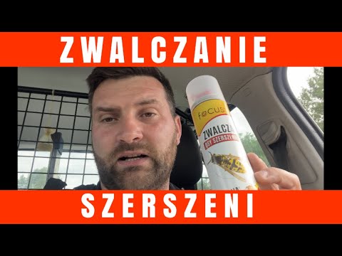 CO BEDZIE NAJBARDZIEJ SKUTECZNE ???  021 - #pogromca szkodników #szerszenie #osy
