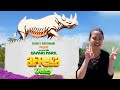 Feel Visit And Explore The Africa Tram In Safari Park Escondido California