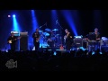 The Sonics - The Witch (Live at Dig It Up! Sydney) | Moshcam