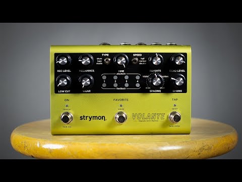 Strymon Volante: Glorious Tape Delay Tones! (Demo)