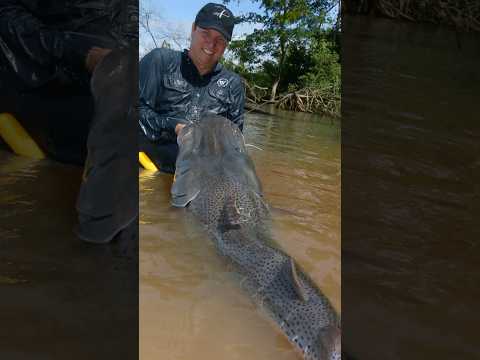 Itaibaté Corrientes Argentina