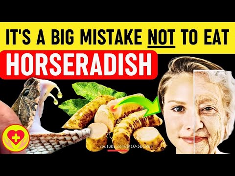 Horseradish Benefits Harm Risks Properties Recipe side effects and precautions